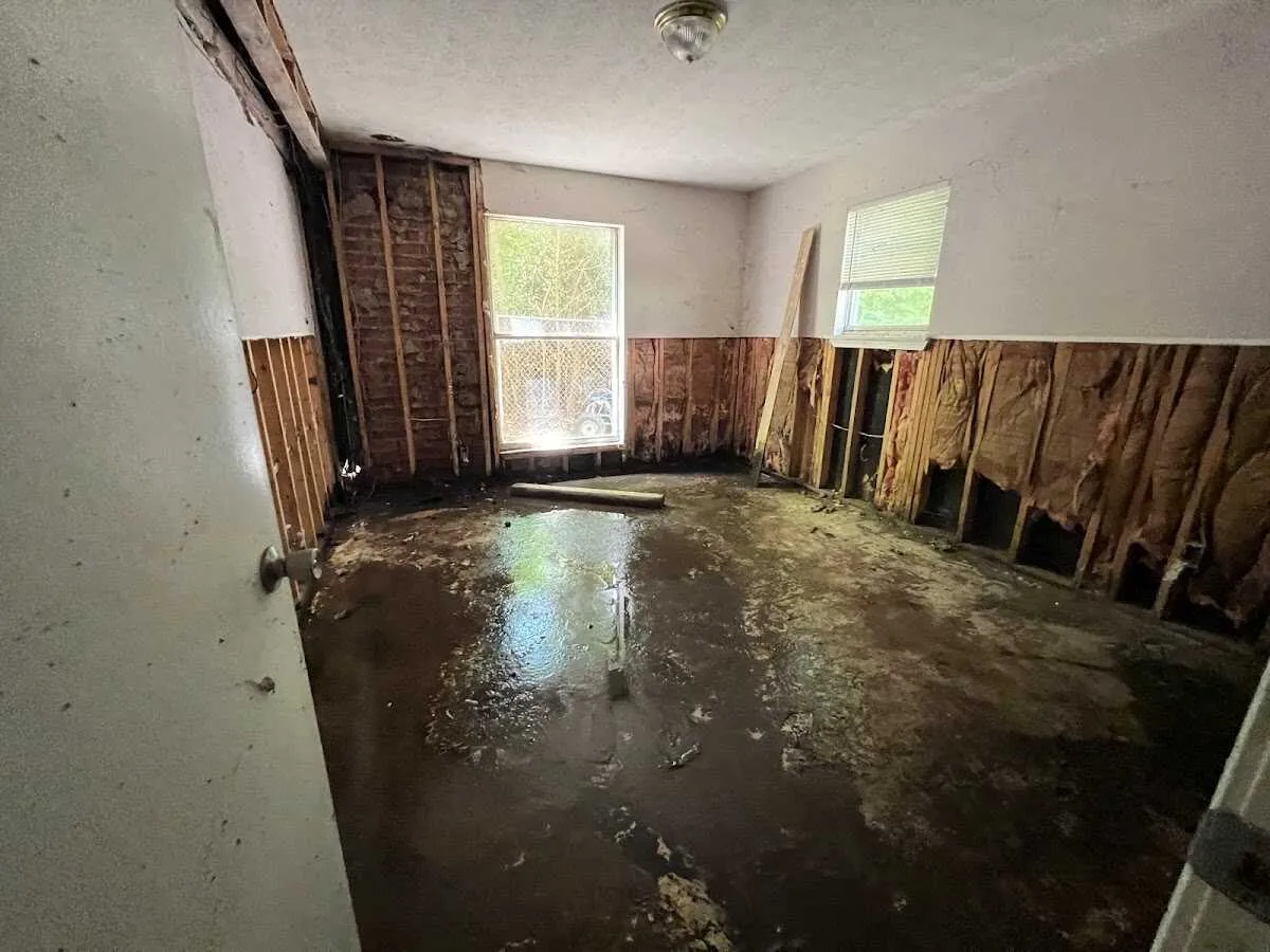 Water Damage Restoration services in Tamalpais-Homestead Valley, CA
